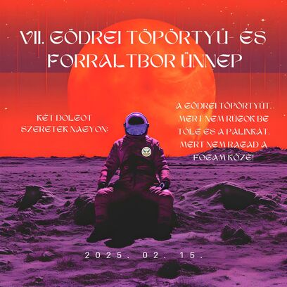 Orange and Purple Futuristic Astronaut Album Cover (2).jpg